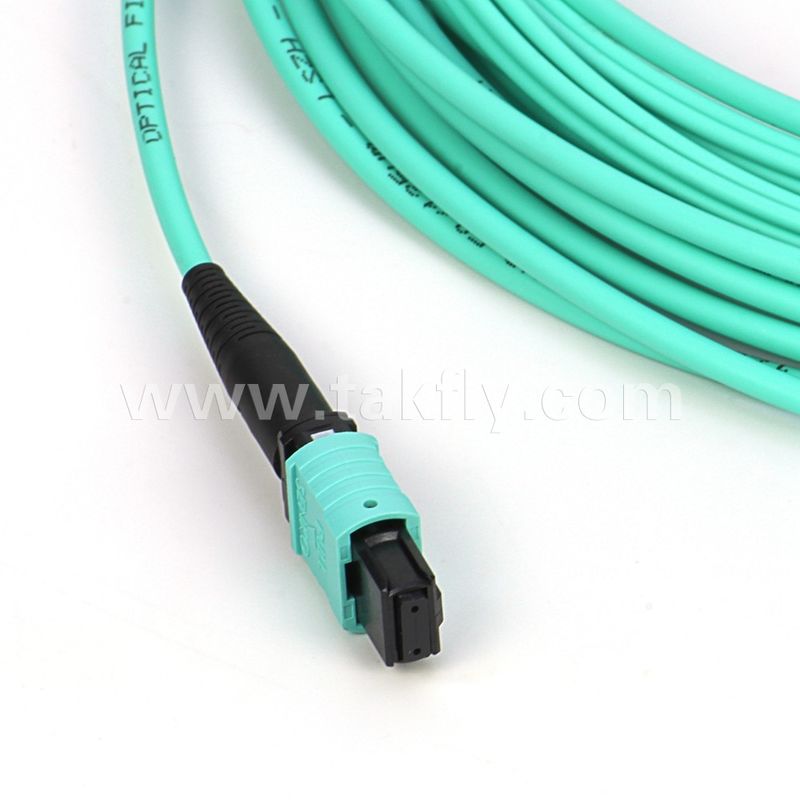 Cáp quang sợi đa chế độ 12/24 lõi Mpo Mtp Om3 cho ứng dụng trung tâm dữ liệu