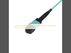 Chiều dài thoát tùy chỉnh MPO MTP Multi-mode Fiber Mode ≤ 0.2dB Độ bền