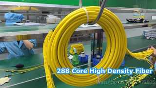 Dây nối 288F MPO/MTP
